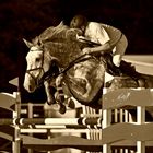 Show jumping @ Celje, Slovenia