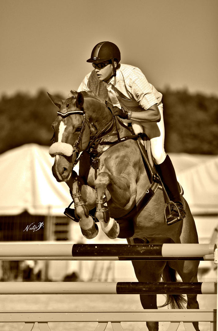 Show jumping @ Celje, Slovenia