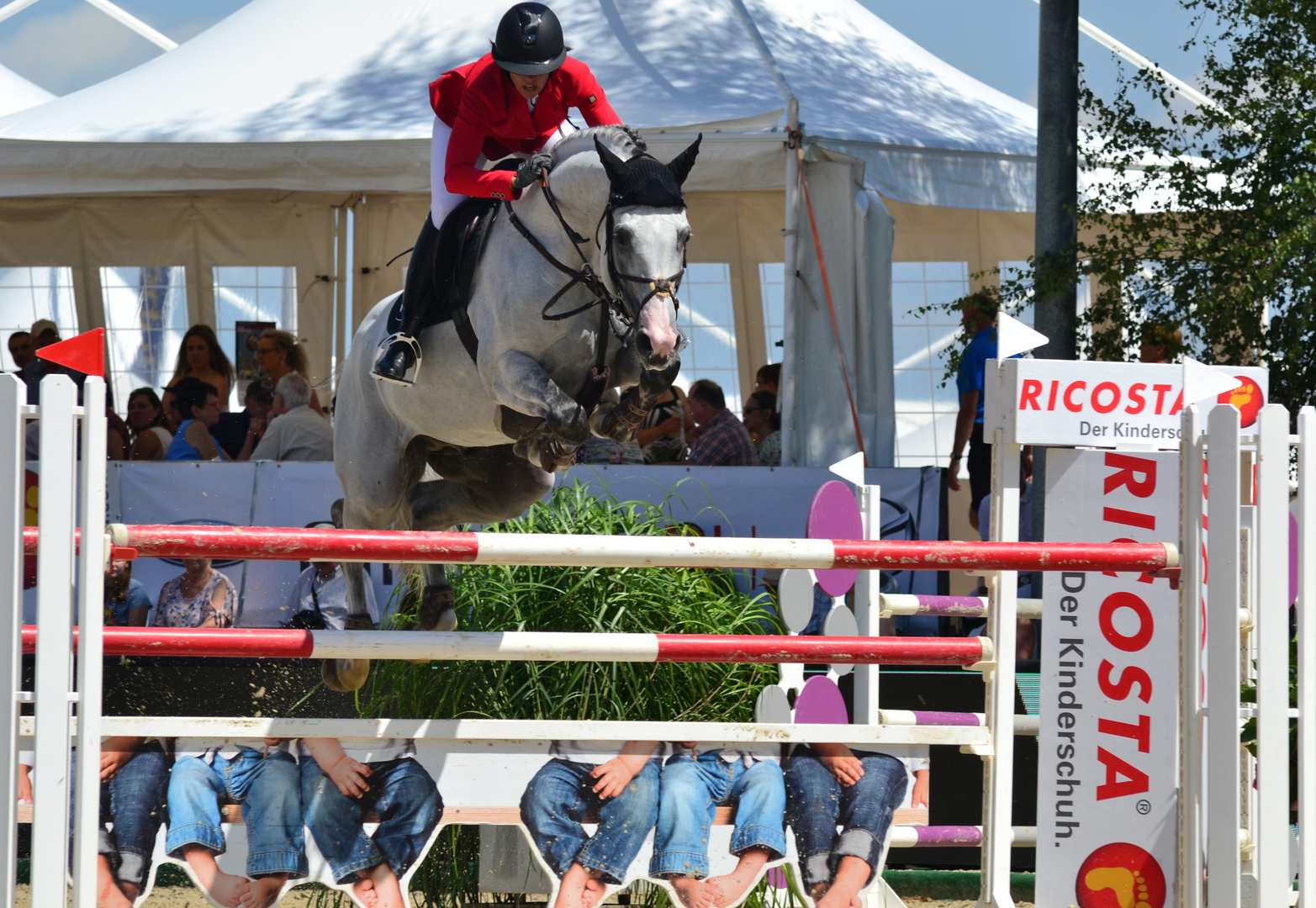 Show Jumping in Perfection