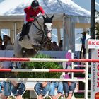 Show Jumping in Perfection