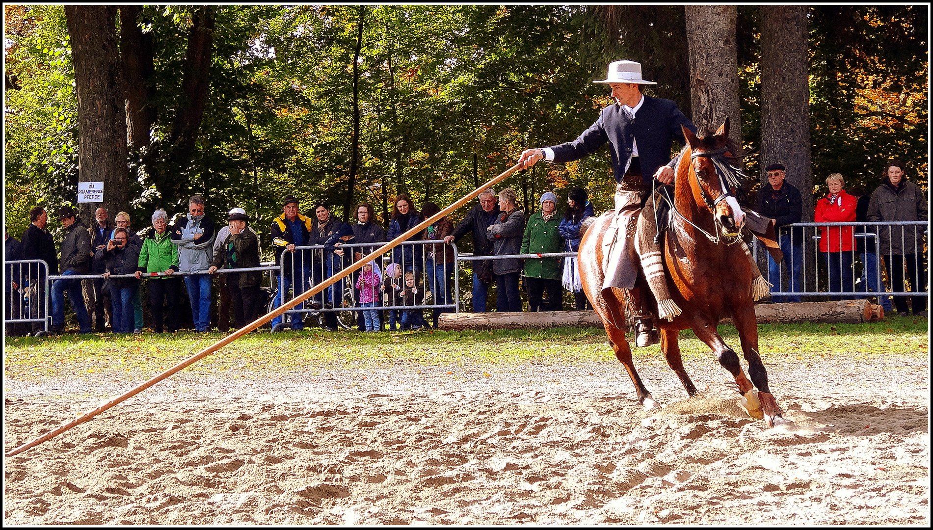 show- & stuntreiter mihai maldea