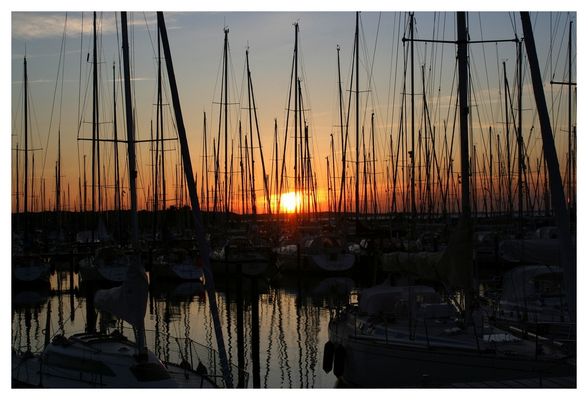 Showdown im Mastenwald