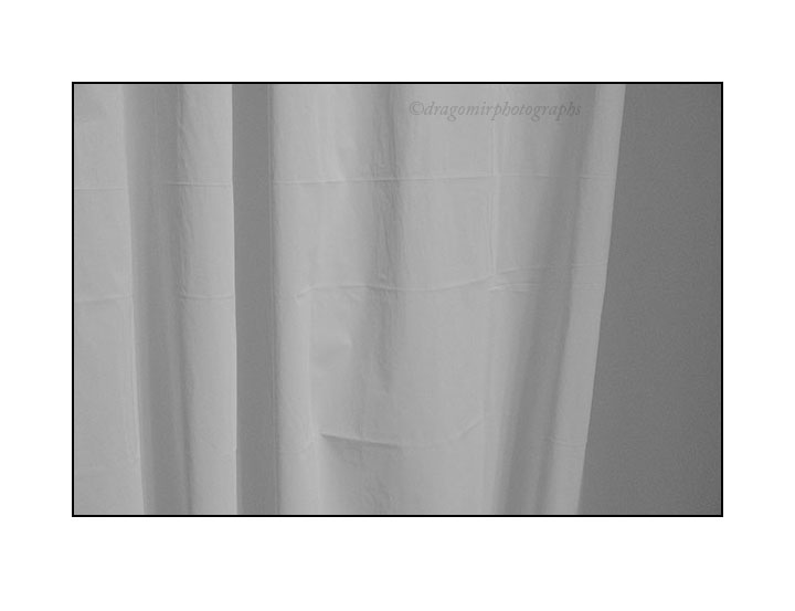 Shower Curtain 3