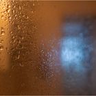 Shower Curtain 4