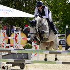 SHOWJUMPING 