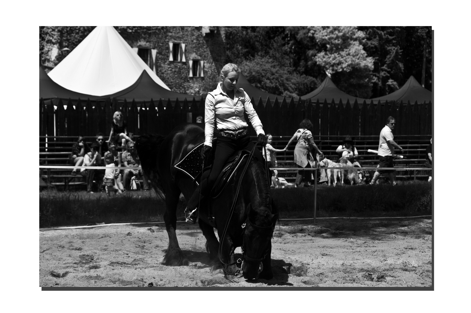 Showreiten auf Burg Satzvey