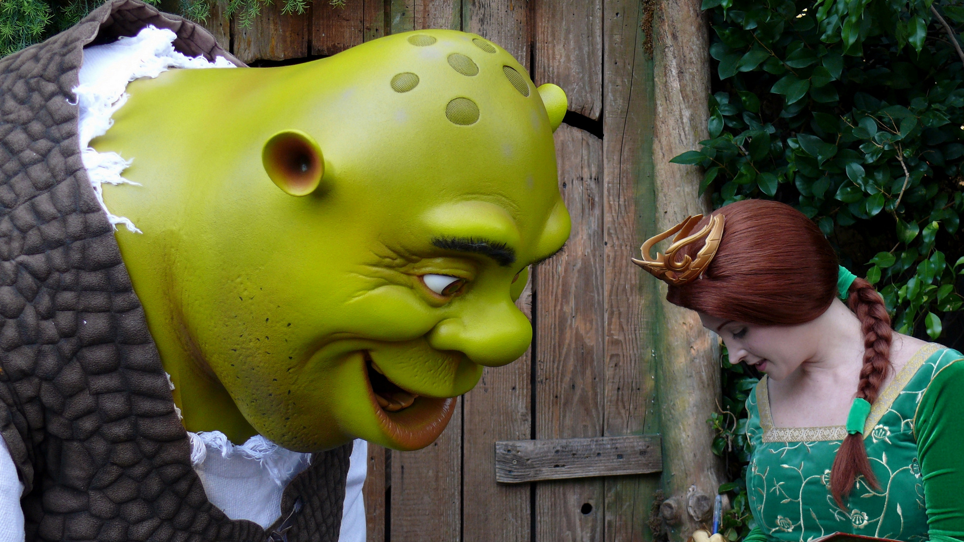 Shrek and Fiona