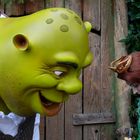 Shrek and Fiona