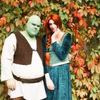 Shrek und Fiona