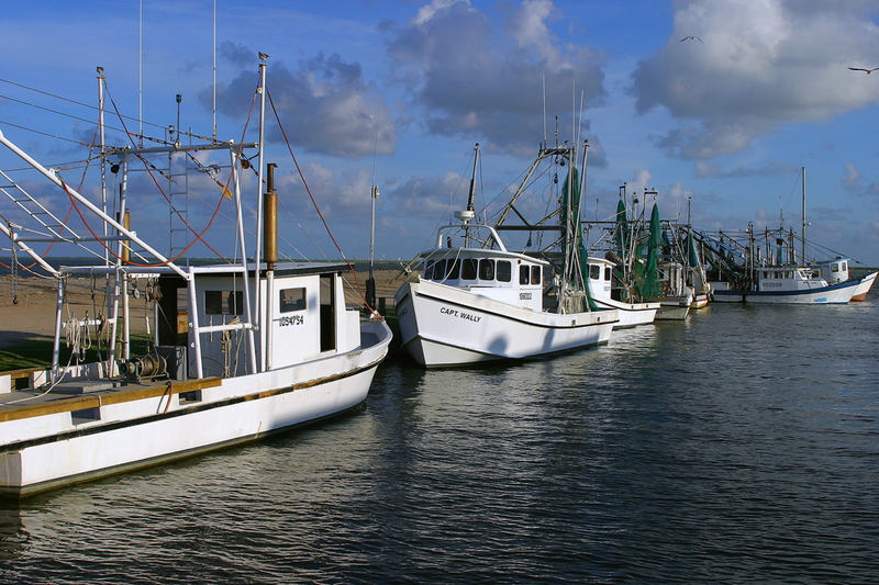 Shrimp Boats at Galveston Bay