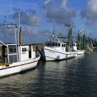 Shrimp Boats at Galveston Bay