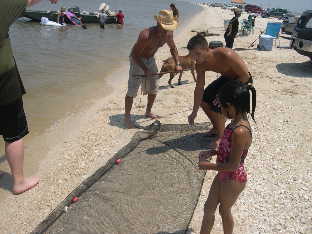 Shrimps - Gulf of Mexico - Texas