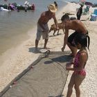 Shrimps - Gulf of Mexico - Texas