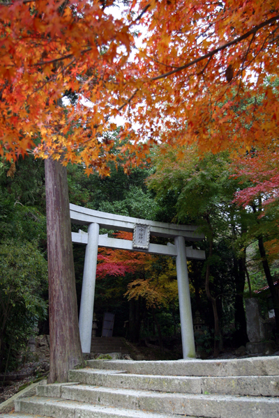 Shrine gate in fall