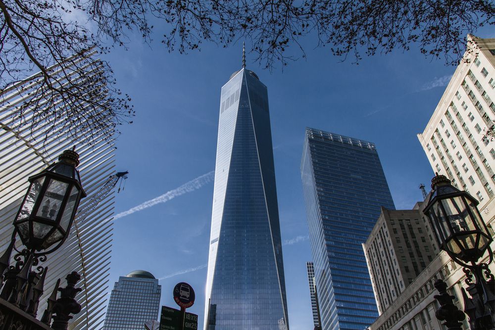 shrink one wtc