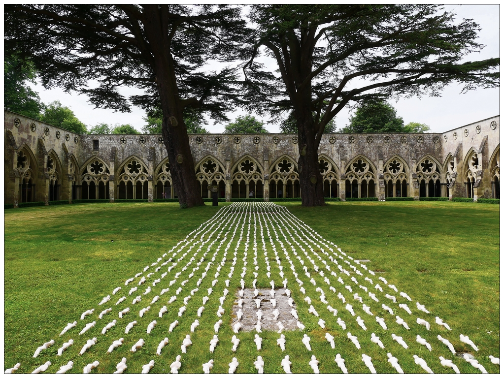 Shrouds of the Somme