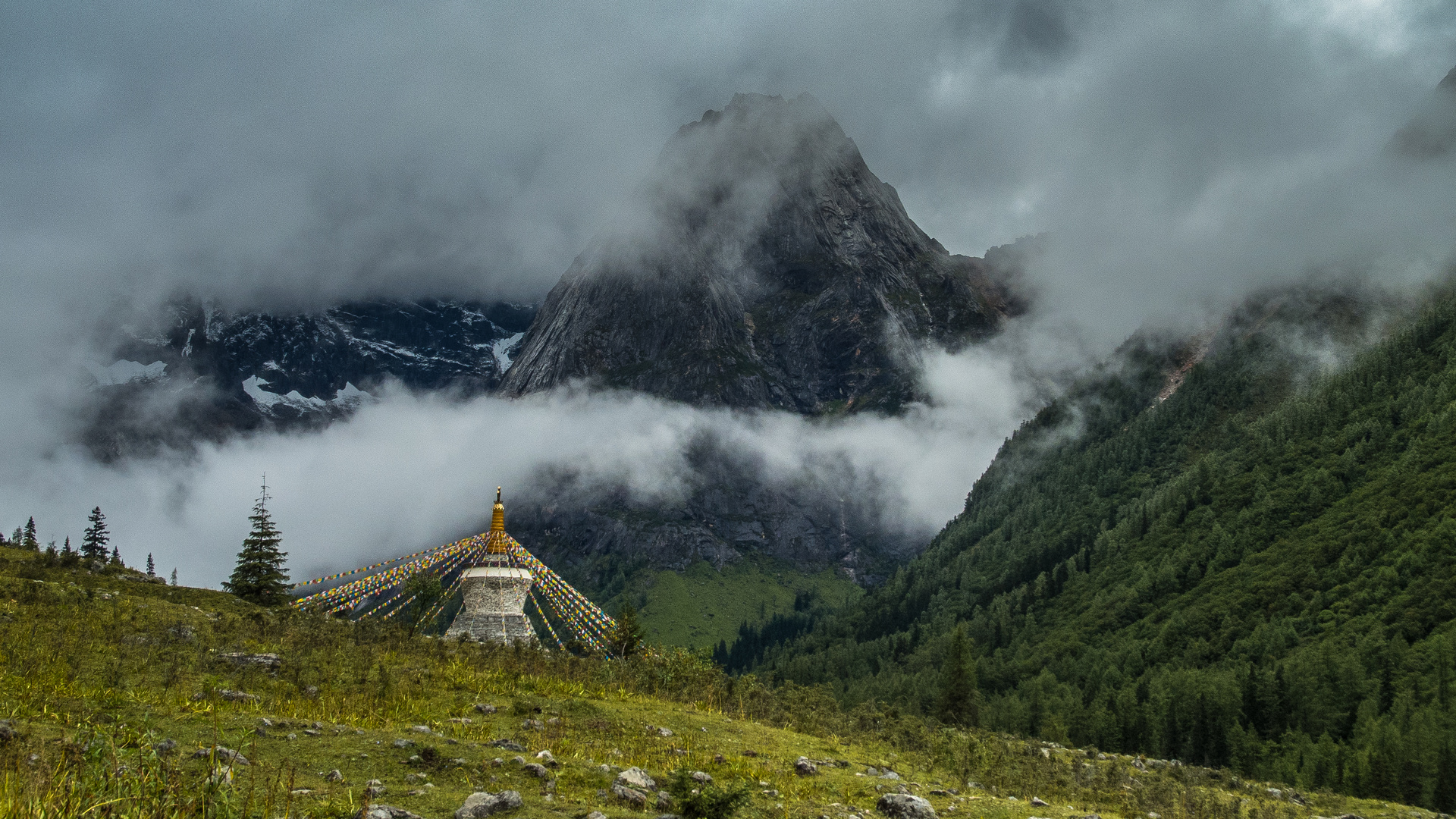 Shuangquiagoguo, Osttibet