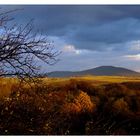 Shumadia/Šumadija