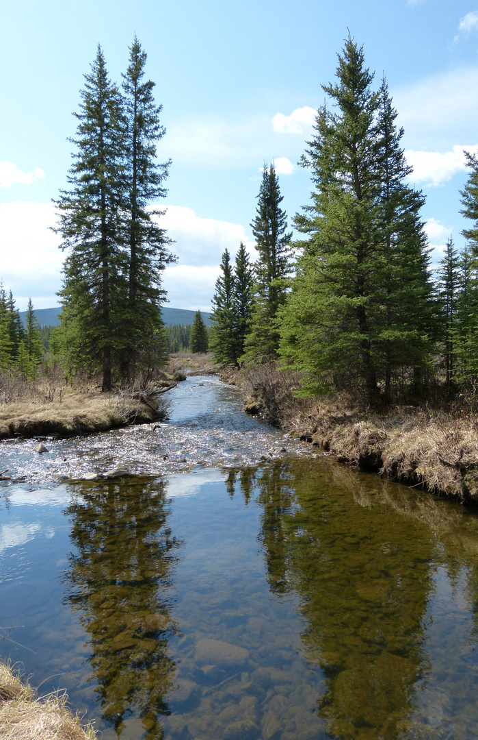 Shunda Creek, Clearwater County, AB, Canada