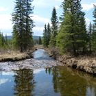 Shunda Creek, Clearwater County, AB, Canada