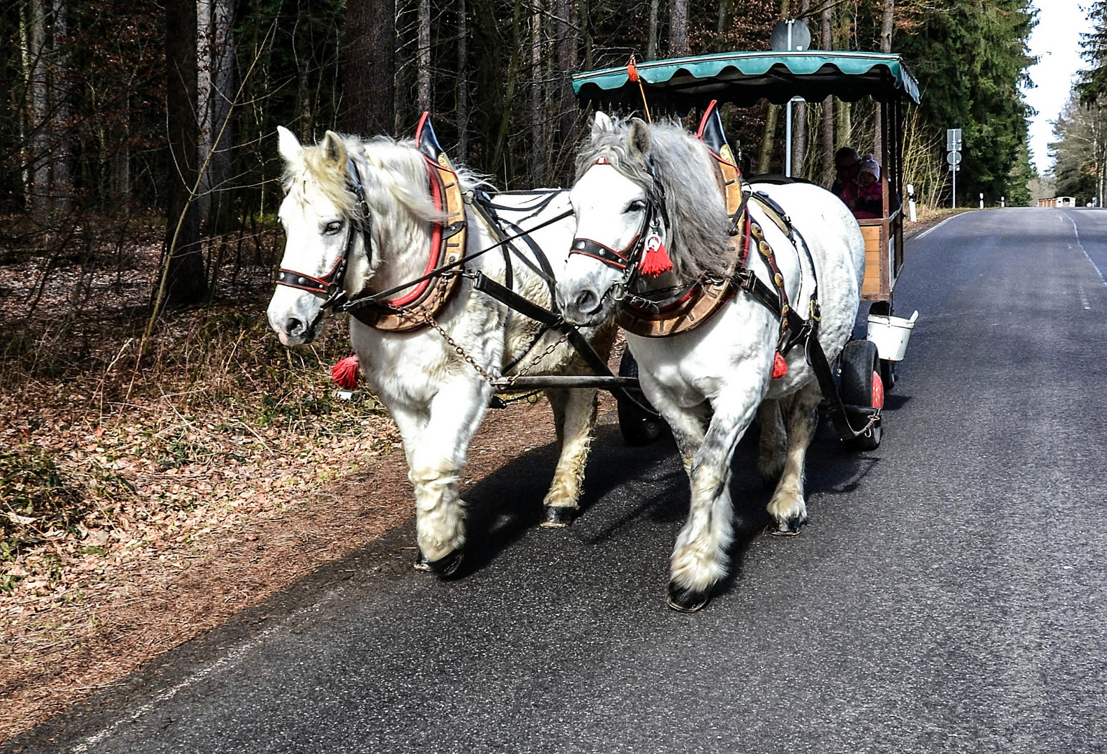 Shuttle zur Bastei