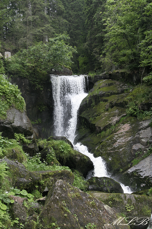 SHWARZWALD TRIBERG WASSERFALLE