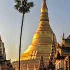 Shwedagon Pagode