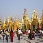 Shwedagon Pagode in Yangon