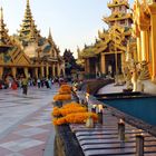 Shwedagon Pagode Yangon