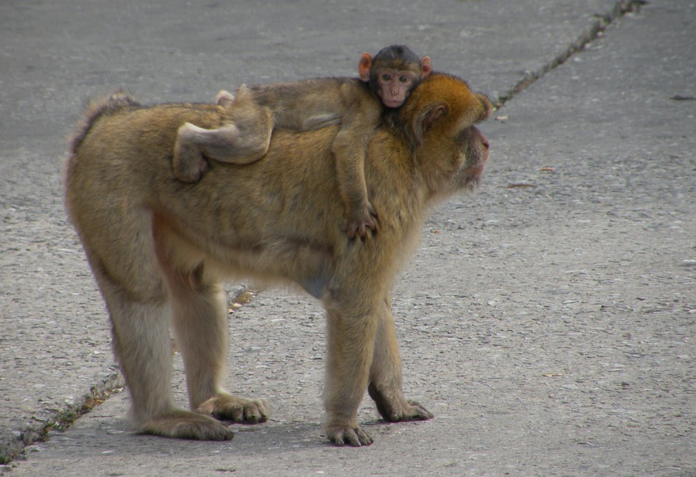 Si bien sur maman !!