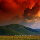 Si fa sera a Castelluccio