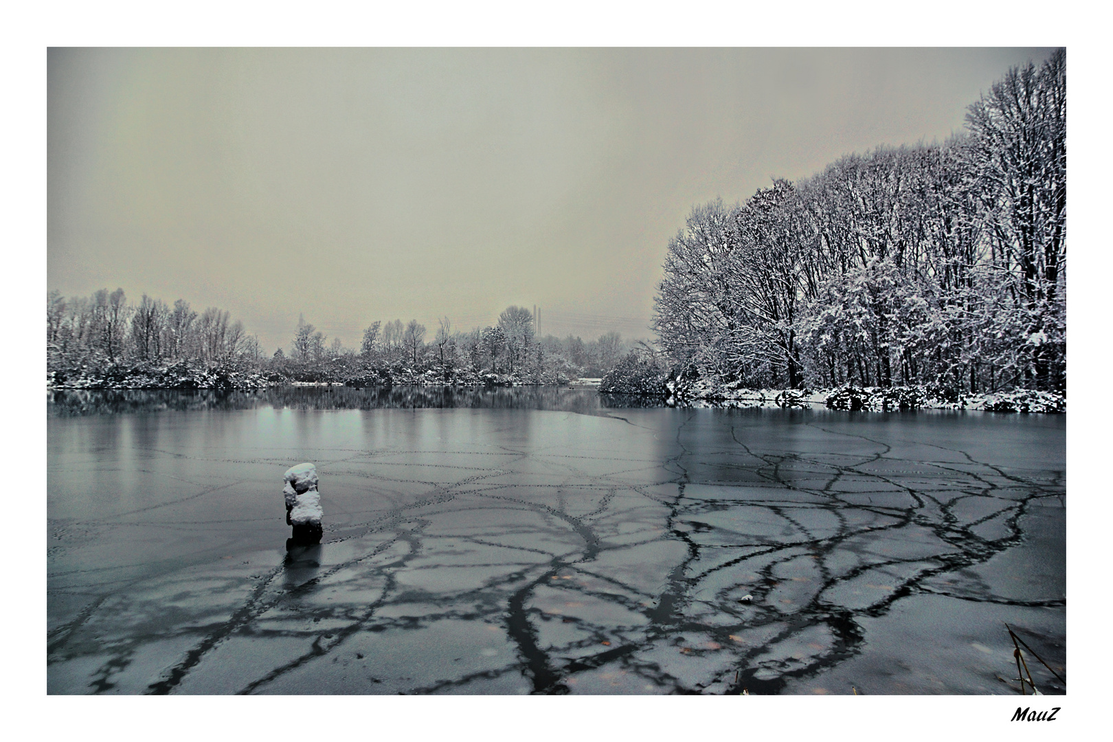 ... Si preannuncia un lungo inverno....