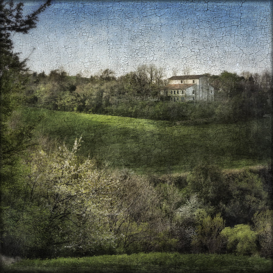 si riaccende la primavera a San Lorenzo