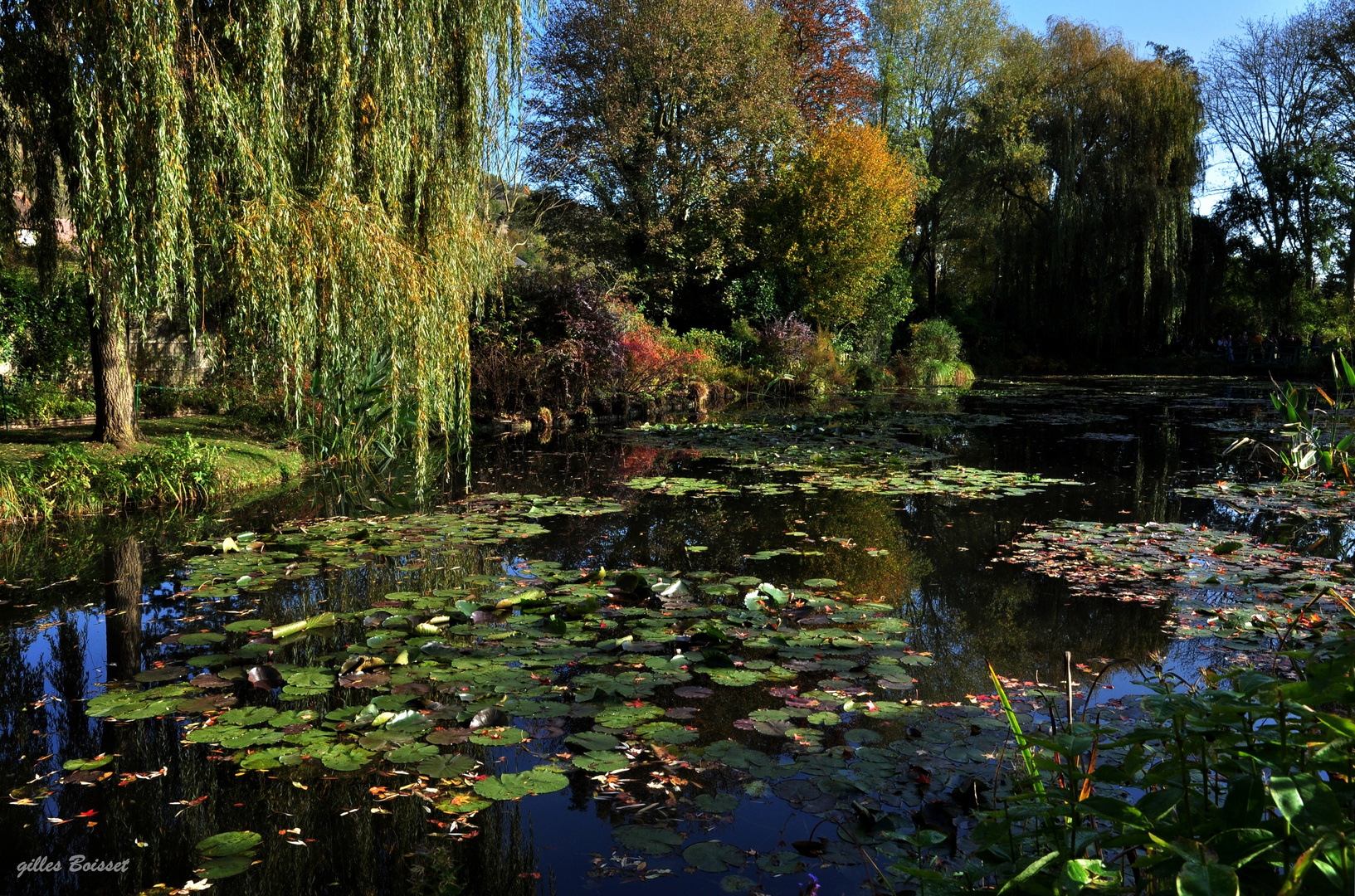 si vous passez là...Monet..