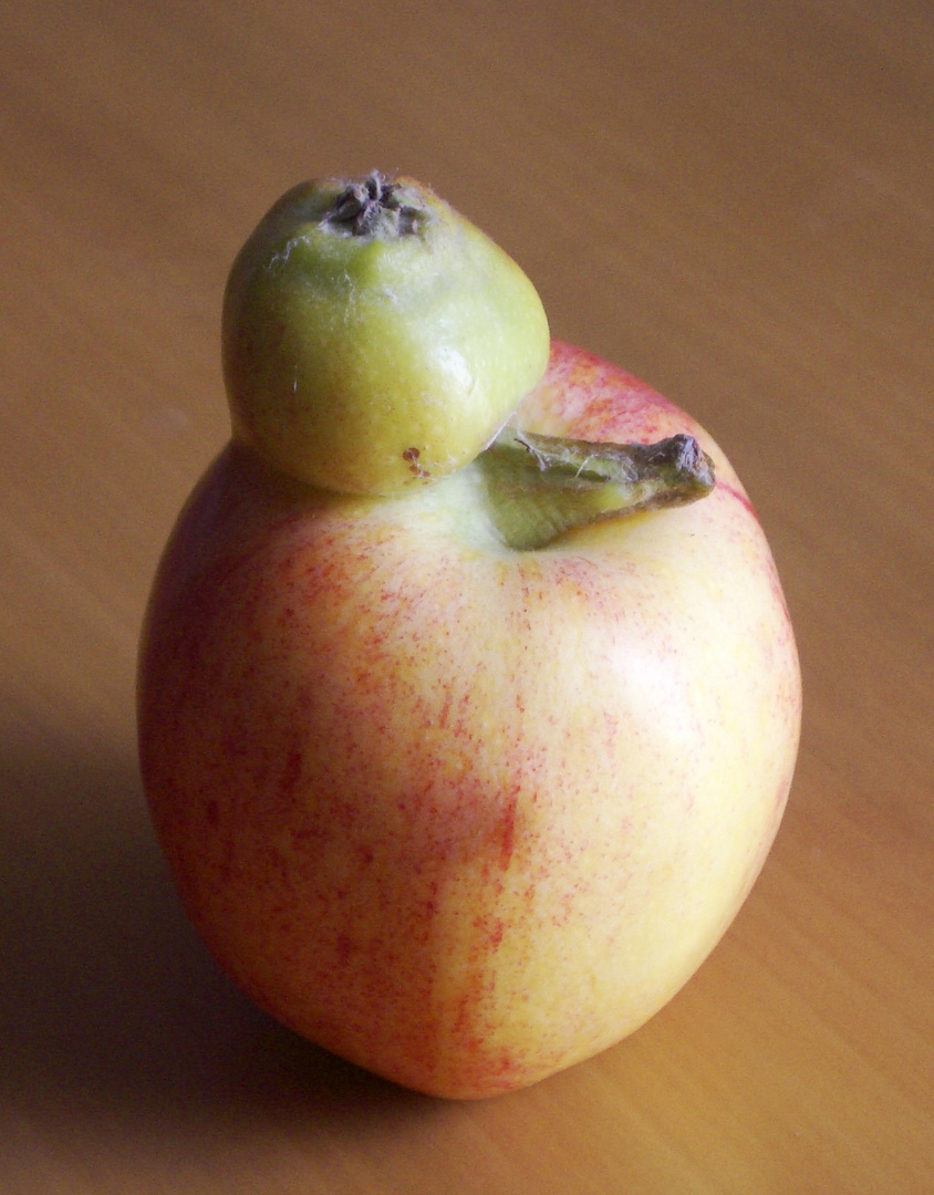 Siamesischer Apfel