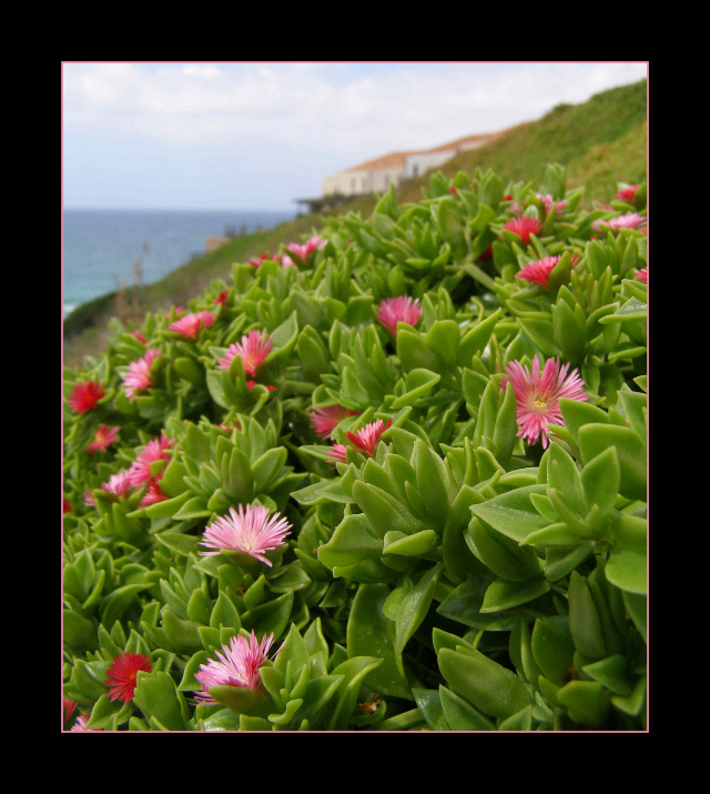 Siamo al mare