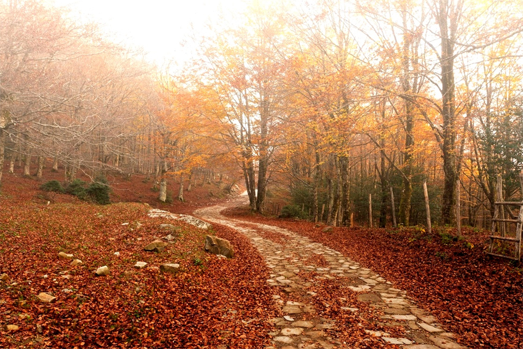 siamo in autunno