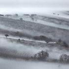 siamo nebbia