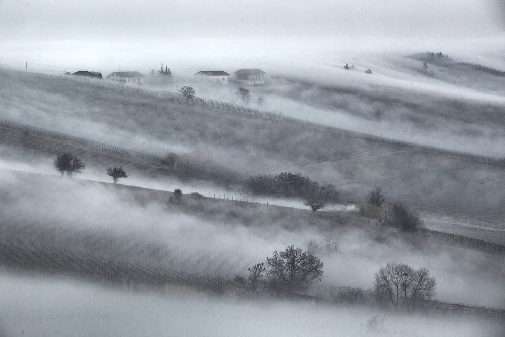 siamo nebbia