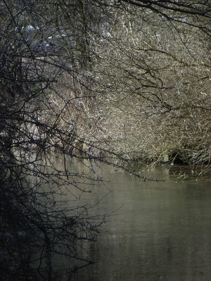 siberäste überm bach