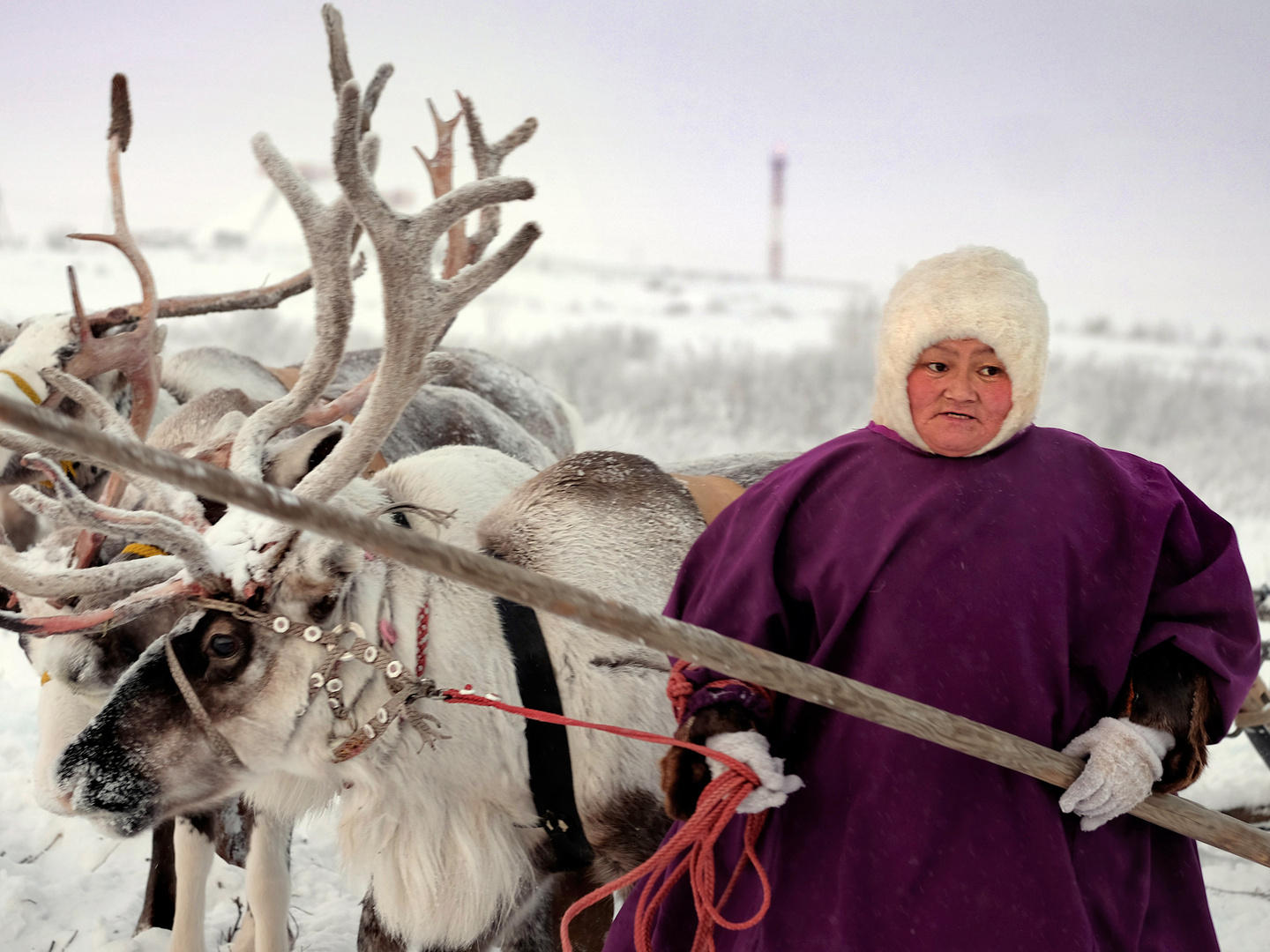 Siberia in Winter 2