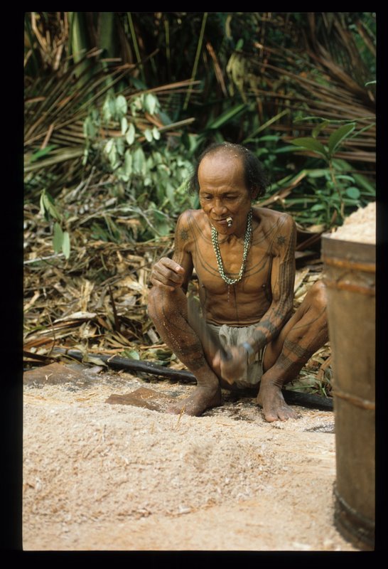 Siberut-1