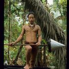 Siberut-2