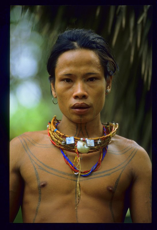 Siberut 3