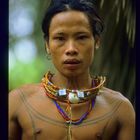 Siberut 3