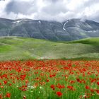 Sibillini national park