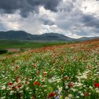 Sibillini national park