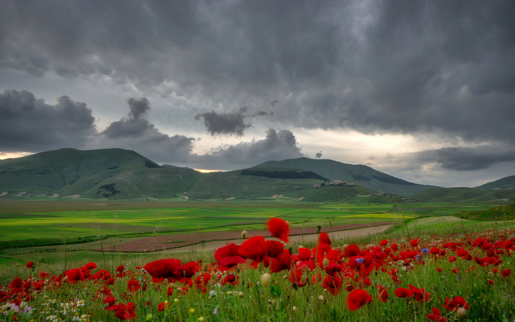 Sibillini - Pian Grande a Castelluccio di Norcia