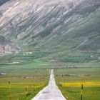 Sibillini - Pian Grande a Castelluccio di Norcia (PG)