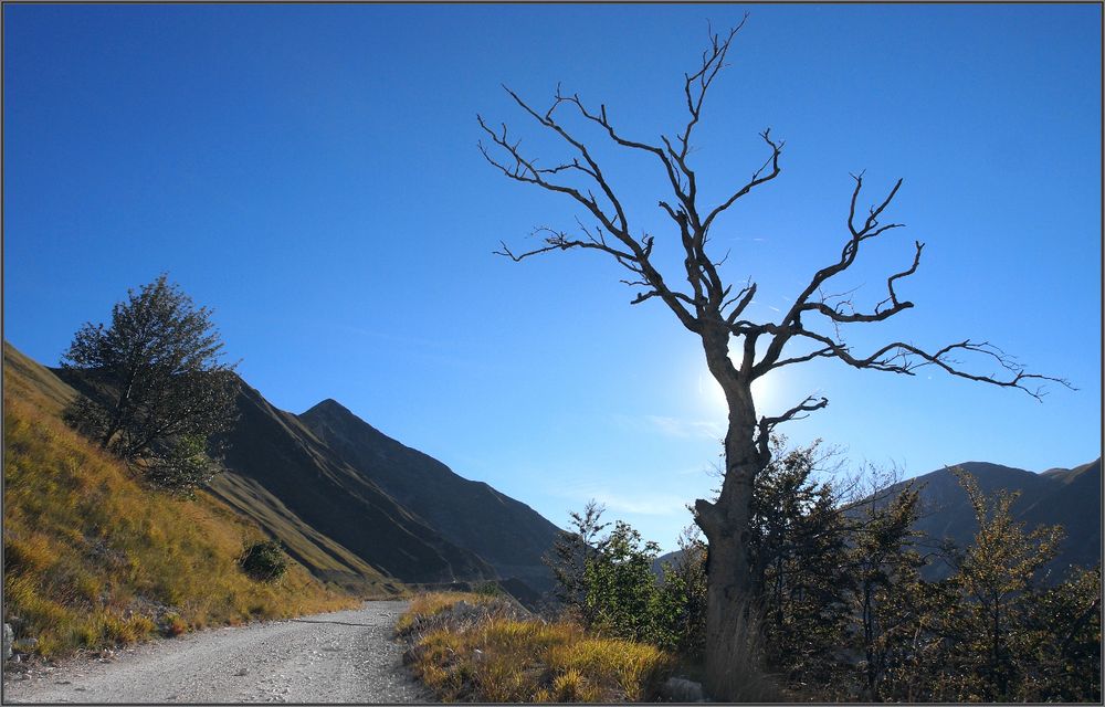 SIBILLINSCHE BERGE V - ITALIEN